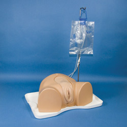 Female Catherisation Simulator